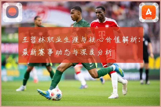 王哲林职业生涯与核心价值解析：最新赛事动态与深度分析